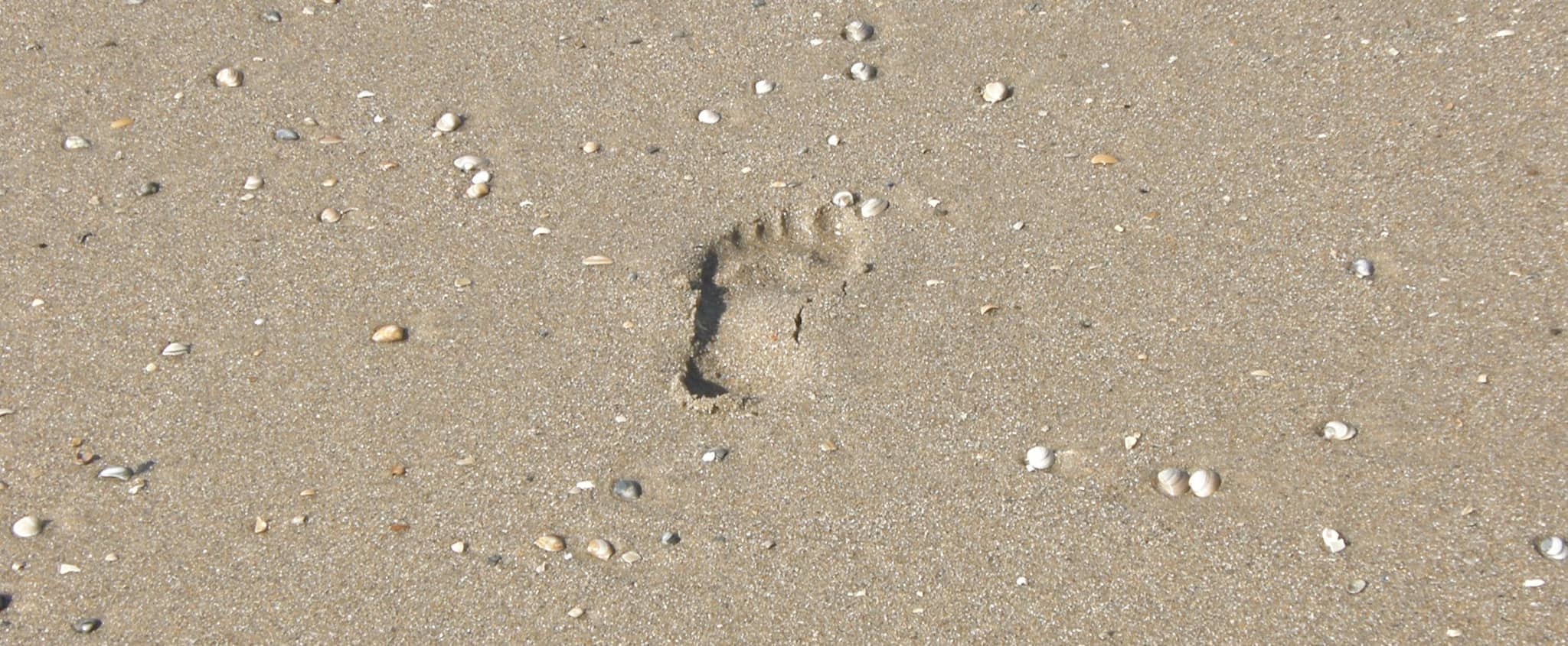 Fußreflexzonenmassage in Nürnberg